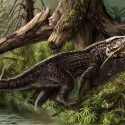 Cocodrilos del Triásico aterrorizaron a los dinosaurios herbívoros