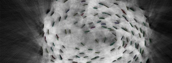 Los peces procesan su inteligencia no sólo en el cerebro, sino en su función colectiva que regula la conducta del grupo