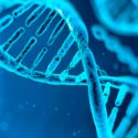 Desvelan el misterio de cómo un gen contribuye al Parkinson, la enfermedad de Crohn y la lepra