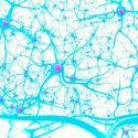 Descubren que los tumores se conectan con células cerebrales sanas para estimular el cáncer
