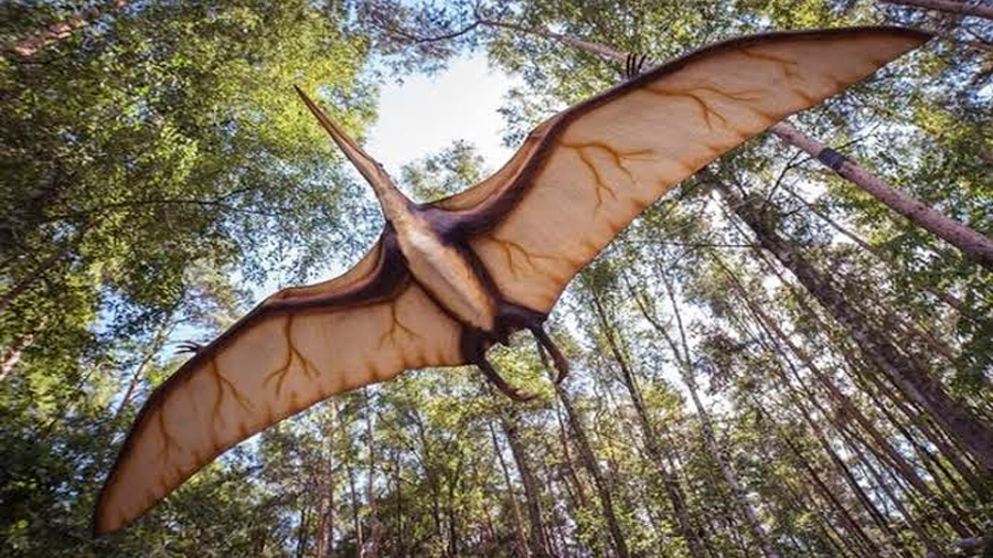 Investigadores descubren especie de reptil volador prehistórico