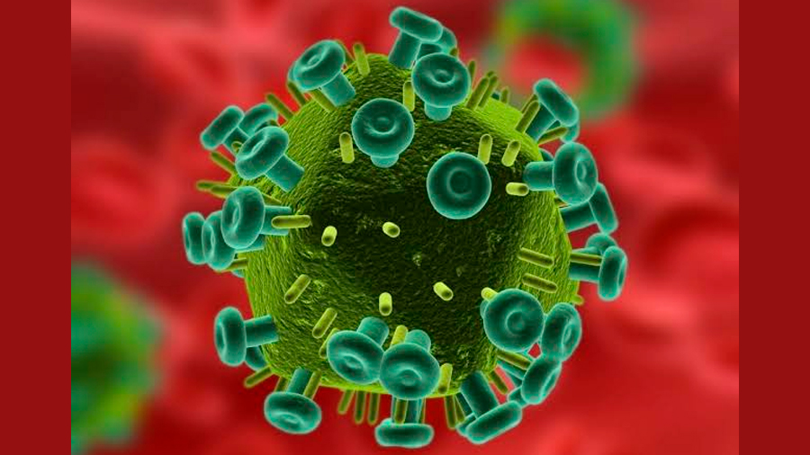 Investigadores descubren el reservorio de las células dormidas del virus del VIH
