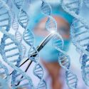 Nueva técnica de edición genética corrige 90% de las variantes asociadas con enfermedades