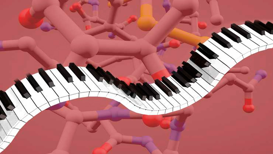 Un ‘piano’ molecular para comunicar estímulos externos