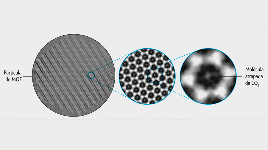 Logran obtener imágenes de moléculas individuales de CO2 atrapadas en “jaulas” moleculares