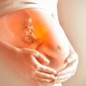 El feto tiene sus propias bacterias intestinales (y se transmiten a la madre)