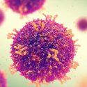 El virus del sarampión destruye la memoria del sistema inmunitario
