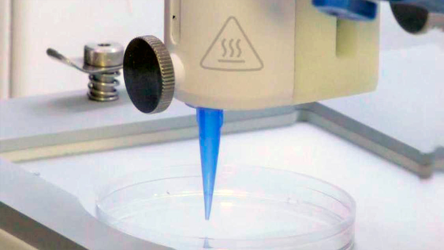 Usan células humanas para imprimir la piel en en 3D con vasos sanguíneos incluidos