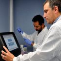 Descubren que la tuberculosis también se puede contagiar en estado de latencia