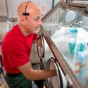 Consiguen producir carne en el espacio