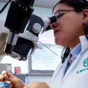 Científicos mexicanos crean células mutantes para fabricar vacuna contra amebiasis