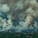 11 mil científicos de 153 países advierten a la Humanidad sobre el cambio climático