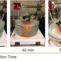 Crean una 'hoja artificial' que convierte CO2 en metanol y oxígeno