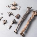 Fósiles del primer simio erguido revolucionan el origen del bipedismo