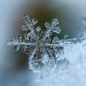 Sondean el límite molecular de la formación de hielo