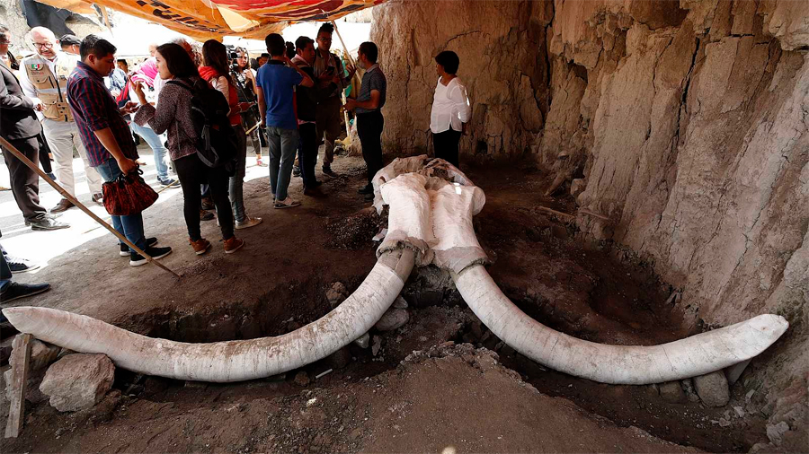 Descubren en México la primera trampa artificial del mundo para cazar mamuts