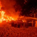 Crean innovador gel para prevenir incendios forestales