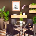 Las plantas que tienes en tu casa no ayudan a purificar el aire (lamentamos romper tu corazón)