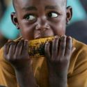 ¿Comida mejorada? El MIT enriquece los alimentos con polímeros que "rellenan" con micronutrientes