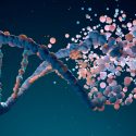 Las enfermedades que se esconden en nuestros genes