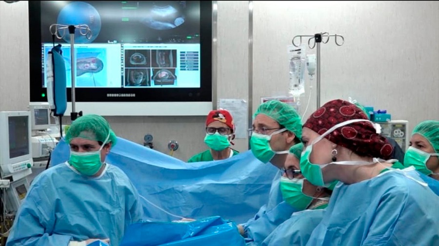 Científicos españoles crean un GPS quirúrgico pionero en el mundo para cirugía fetal
