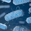 Científicos modifican bacteria para que se ‘alimente’ de CO2