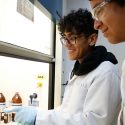 Bachilleres mexicanos buscan crear hojas de papel hechas con conchas de mar