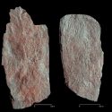 Un hallazgo de la historia maya: la quema de una ciudad fue un acto de guerra masivo