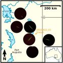 Identifican a una lluvia de meteoros con origen en una miniluna terrestre