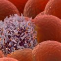 Descubren un biomarcador nuevo para las células madre del cáncer