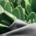 Mexicanos crean piel de nopal para ayudar a reducir el impacto ambiental
