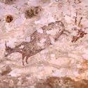 Descubierta la obra de arte más antigua de la humanidad