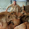 Bienvenidos a la Patagonia, la fábrica mundial de dinosaurios