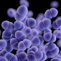 Hallado el 'talón de Aquiles' de la superbacteria resistente a los medicamentos