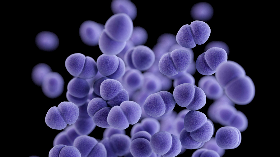 Hallado el 'talón de Aquiles' de la superbacteria resistente a los medicamentos