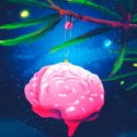 En nuestro cerebro también es Navidad