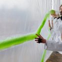 Diseñan cortinas que usan micro-algas para para purificar el aire