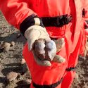 La Tierra, envenenada antes del asteroide que acabó con los dinosaurios