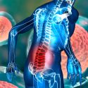 Japón autoriza ensayo con células madre pluripotentes para regenerar lesiones medulares