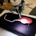 Científicos ensayan con éxito infección en órganos impresos en 3D