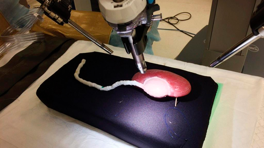 Científicos ensayan con éxito infección en órganos impresos en 3D