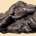 Un trozo de chicle prehistórico revela el ADN de su consumidor