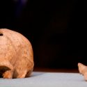 El último 'homo erectus' vivió en la isla de Java hace 108.000 años
