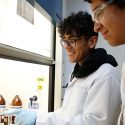 Conoce Kálix, las hojas de papel hechas con conchas de mar por jóvenes mexicanos