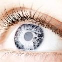 Descubren que las neuronas visuales no funcionan como pensaban los científicos