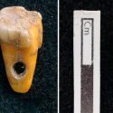 Descubren dientes humanos usados como joyería en Turquía