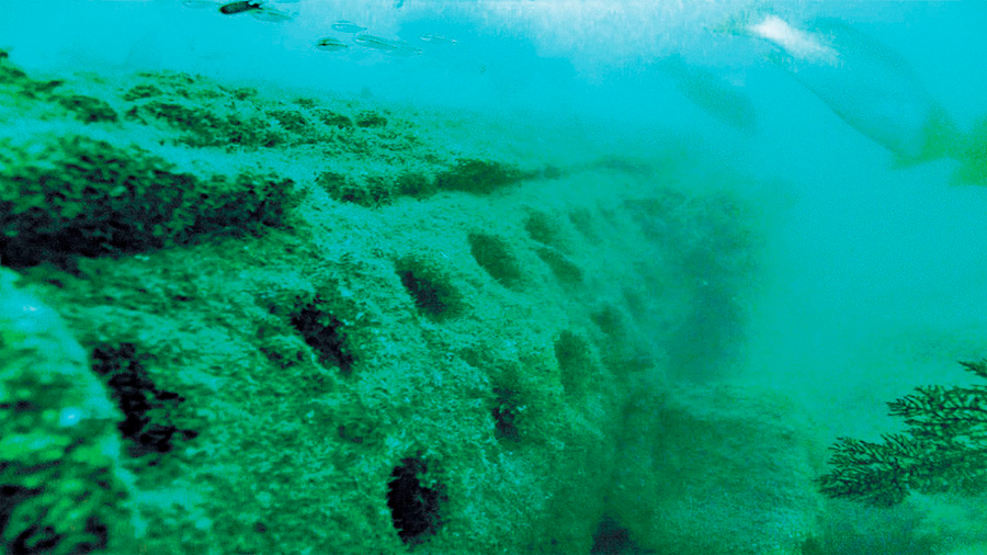 Buque de México que halló al Titanic en expedición descubre ahora cañonera de 1910