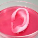 Crean investigadores mexicanos un bioplástico que puede emplearse en implantes y en ingeniería de tejidos