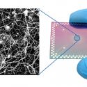 Una malla de nanocables exhibe actividad como la cerebral