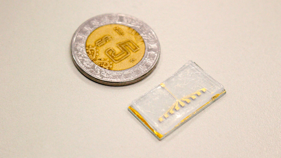 Desarrolla estudiante mexicano un chip capaz de detectar y separar células cancerosas